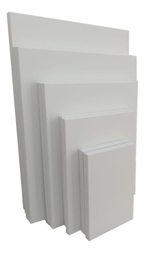 Pack De 5 Bastidores De 20/20