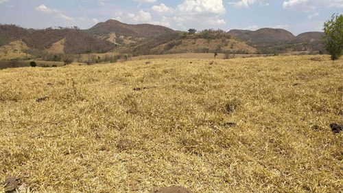 Imagem 13 de 13 de Fazenda Montada Pra Pecuária Município Unai