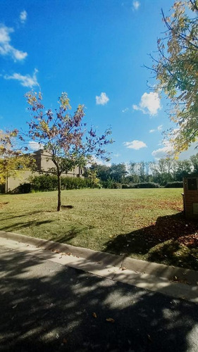 Imagen 5 de 13 de Oportunidad Lote En Venta Al Rio En El Yacht - Nordelta - Tigre
