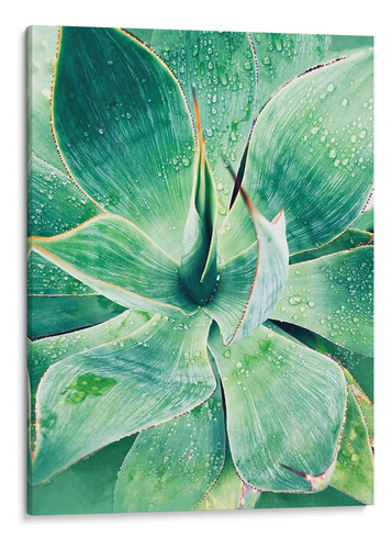 Canvas Lab Cuadro Verde Tropical Suculento I 90x120