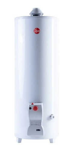 Termotanque Rheem De Pie Functional  120 L Gn Blanco