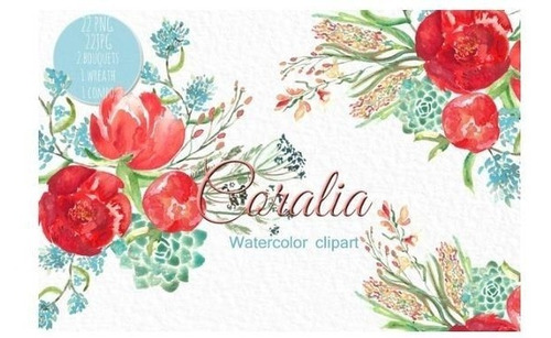 Papeles Digitales #01 - Coral Peonies -  Clipart