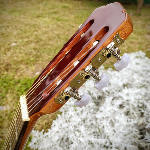 Imagen 6 de 10 de Guitarra Clásica Gracia C/corte Modelo M6