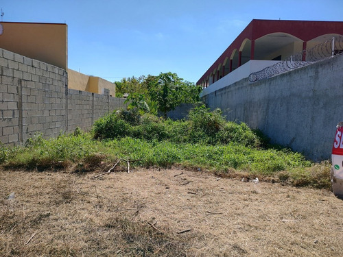 Imagen 4 de 7 de Gran Terreno Cerca De La Playa Con Barda Perimetral