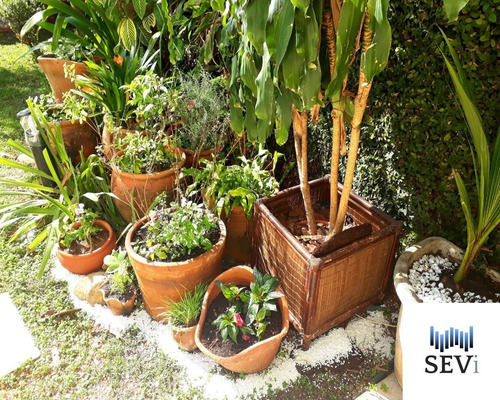 Imagem 12 de 21 de Casa - Ca00415 - 69273305