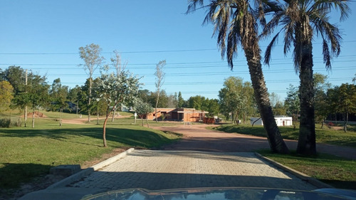 Excepcional Terreno 1457m2 Punta Ballena-ref:4284