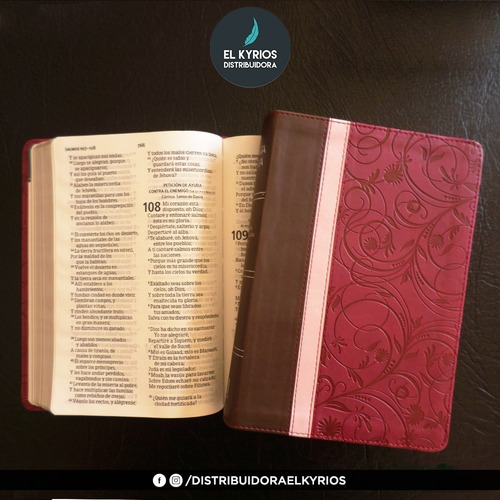Biblia Letra Grande Tamaño Manual Con Referencias