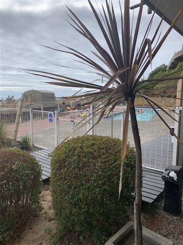 En Venta Precioso Depto Vista Al Mar Zona Segura Costa Brava