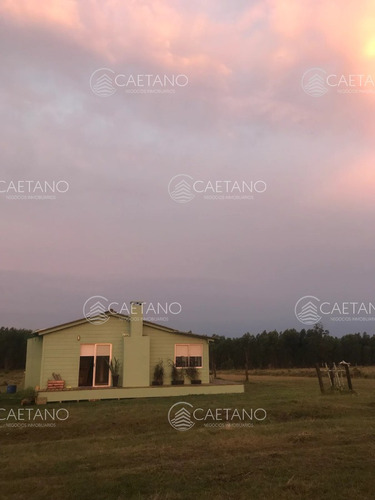 Alquiler Hermosa Casa Sobre La Arena En José Ignacio