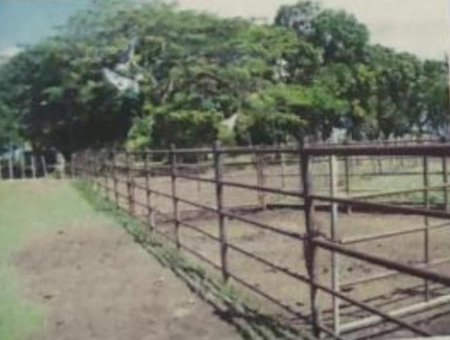 Imagen 8 de 17 de Se Vende Finca En Caicarita Estado Monagas Ve02-1095mced-mtru
