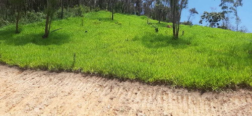 Imagem 5 de 14 de Terrenos Com Uma Linda Vista
