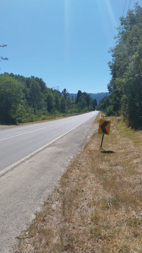 Parcela De 5000m2 A Orilla De La Ruta 206 Valdivia-paillaco