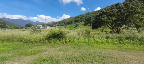 Se Vende Terreno Guarenas- Guatire Con Zonificación Industrial O Residencial. (rs90)