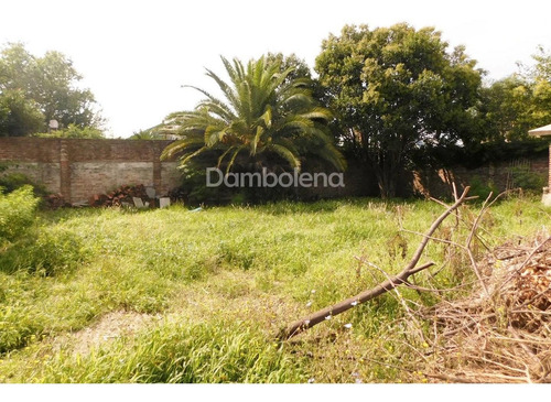 Imagen 5 de 8 de Terreno Lote En Venta Ubicado En Moreno, G.b.a. Zona Oeste