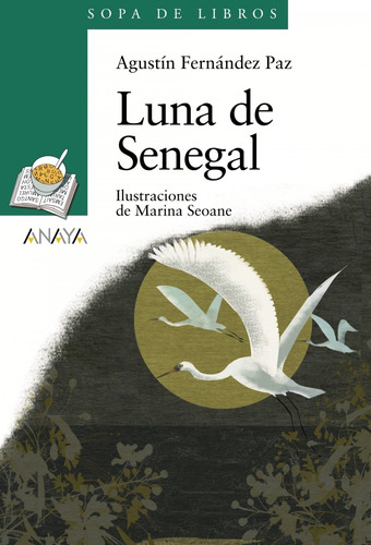 Libro Luna De Senegal - Fernandez Paz, Agustin