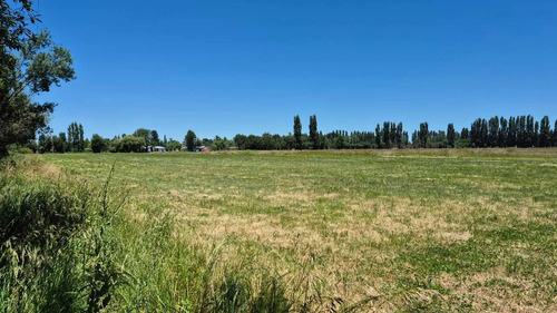 Se Vende Parcelas, 5.000 Mt2, Camino El Peral (132185)