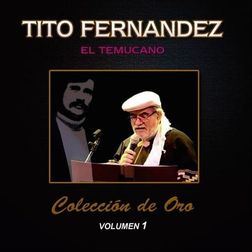 Cd Tito Fernandez/ Colección De Oro Vol 1 1cd