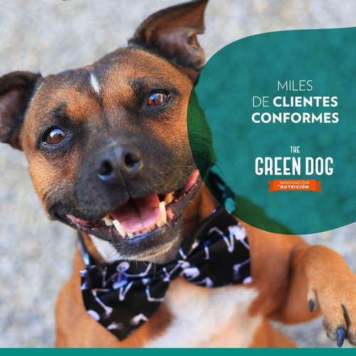 The Green Dog Alimento Vegano Para Perros 10kg Cachorro