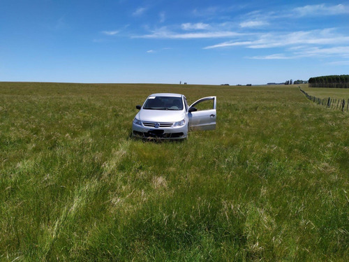 Dueño Vende Campo De 95 Ha En Lavalleja