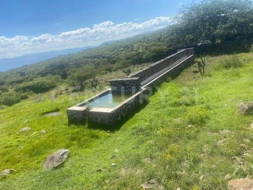 Imagen 5 de 24 de Se Vende Rancho En Hidalgo Para Inversionistas
