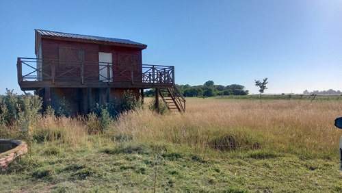 Imagen 7 de 23 de Lote 36000m2 Molino..plantas Pecan Durazno