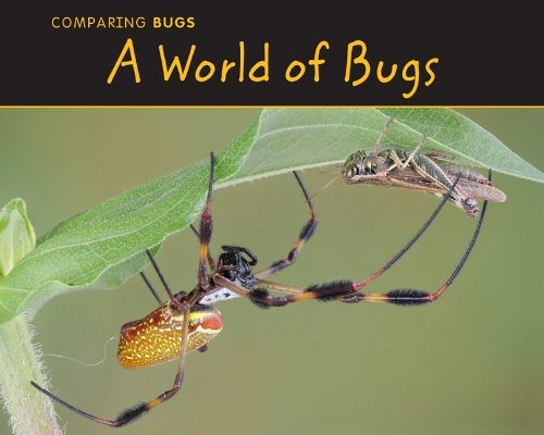 A World Of Bugs (comparing Bugs Acorn Readaloud, Level M)