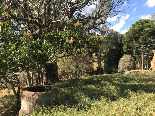 Sítio Em Socorro - St00002 - 68125252