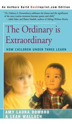 Libro The Ordinary Is Extraordinary - Amy Laura Dombro