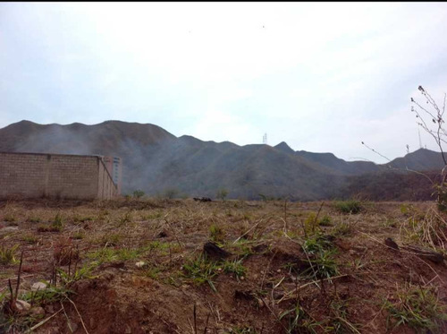 Imagen 4 de 11 de Terreno Unifamiliar En Venta Jardin Mañongo