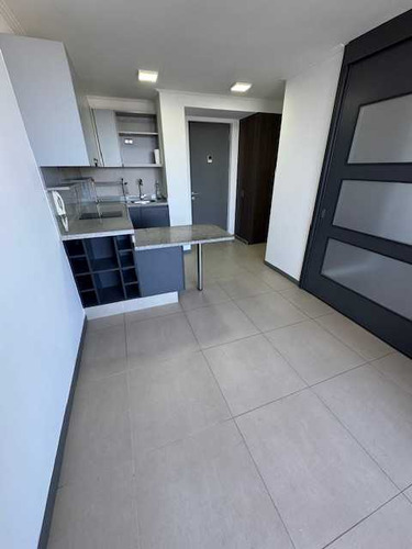 Departamento 1 Dormitorio, Concepción (81112)