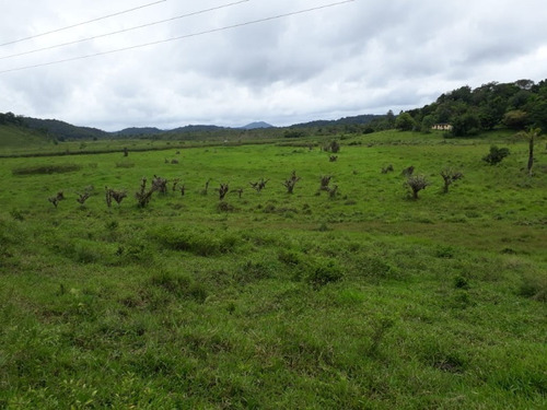 Fazenda - Fa00002 - 34684872