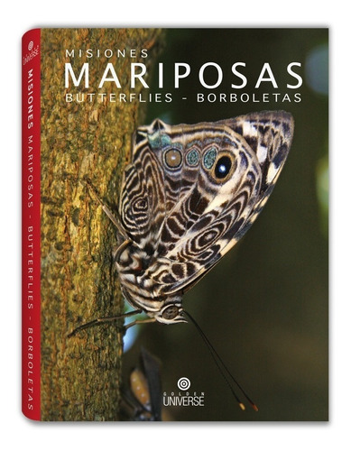 Misiones Mariposas: Butterflies - Borboletas