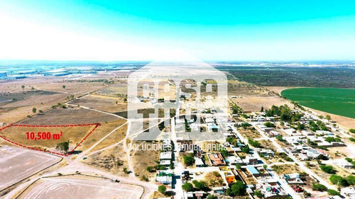 Imagen 6 de 15 de Oportunidad M2 En $132.00 En Montoro 10,500 M2 De Terreno.