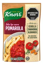 Comprar Salsa Knorr Pomarola 340 Grs X 20 Unidades