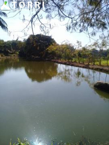 Imagem 17 de 19 de Linda Chácara Zona Rural De Piedade - Sp - Ch00423 - 70640039