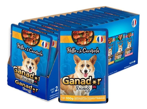 Pack X 22 Sobres Alimento Humedo Ganador Pollo A La Cacerola