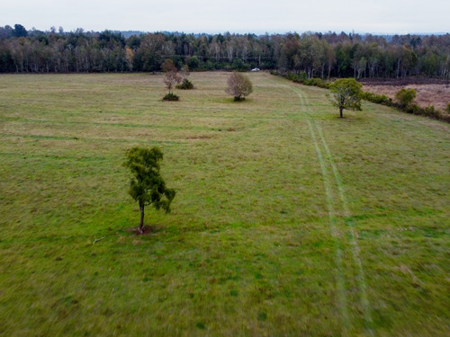 Imagen 6 de 13 de Campo Subdividido De 49,2ha - Villarrica