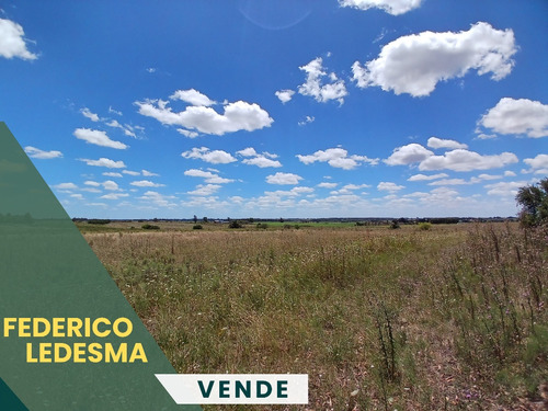 Vendo Campo De 11 Hectáreas En Ruta 33