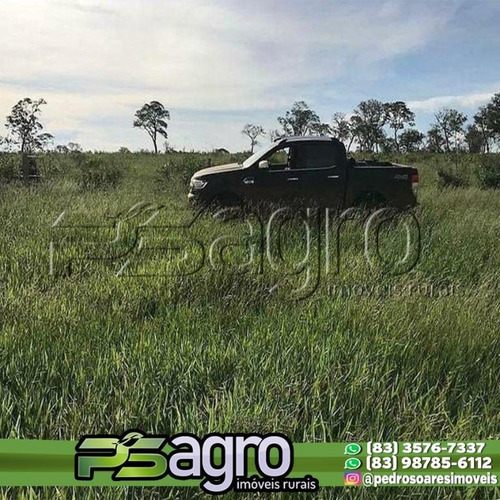 Imagem 7 de 9 de Fazenda À Venda, 6720000 M² Por R$ 15.500.000 - Piaui - Fa0251