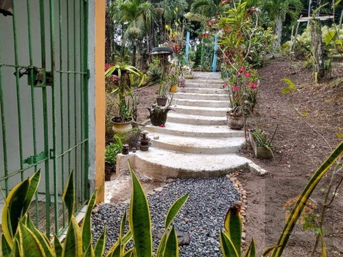 Terreno Com Casa Em Aldeia - Ch0015