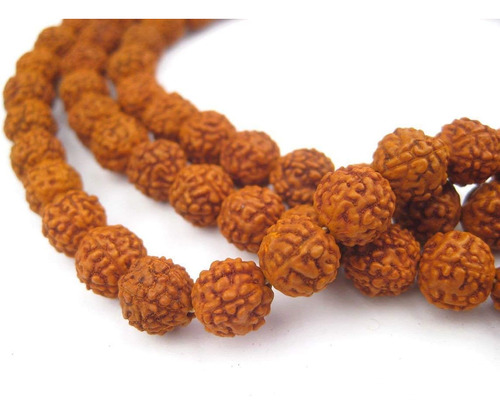 Rudraksha Rudraksh Japa Mala Rosary 108 + 1 Abalorio De...