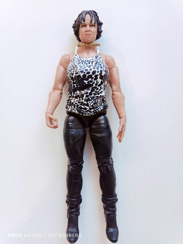 Vickie Guerrero Wwe Serie 13 Mattel 2011 (Usado)