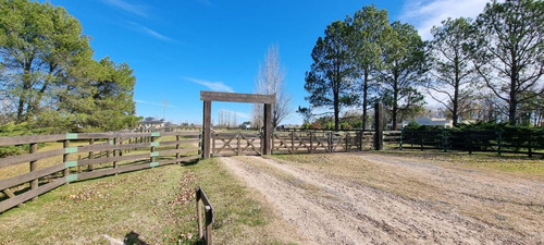 Venta Casa Chacra 4 Ambientes Barrio La Catalina Carlos Keen Lujan