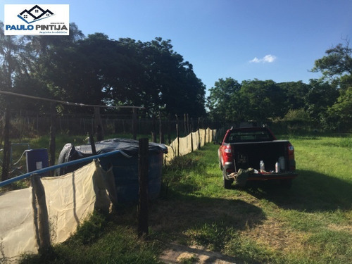 Imagem 10 de 17 de Área De 31.500m Comercial / Residencia Na Rodovia Lix Da Cunha. - Te01509 - 33411597