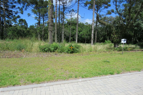 Imagem 1 de 16 de Terreno Em Gramado - 1199