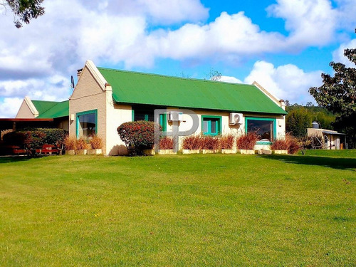 Imagen 1 de 13 de Chacra En Venta Punta Ballena 3 Dorm, 10 Has #1824