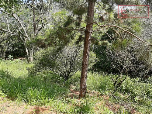 Imagem 12 de 29 de Chácaras À Venda Em Mairiporã/sp - Compre O Seu Chácaras Aqui! - 1491764
