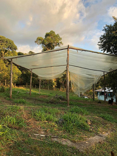 Finca En Silvania, A Una Hora De Bogotá