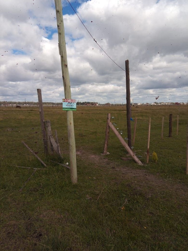 Imagen 18 de 21 de Terreno En Venta En Domselaar