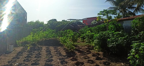 Imagem 3 de 4 de Terrenos - Ref: L2718
